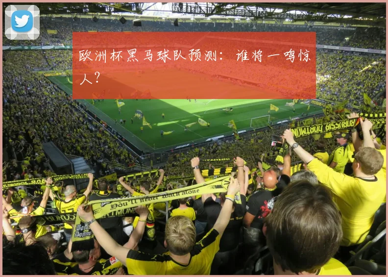 欧洲杯黑马球队预测:谁将一鸣惊人?
